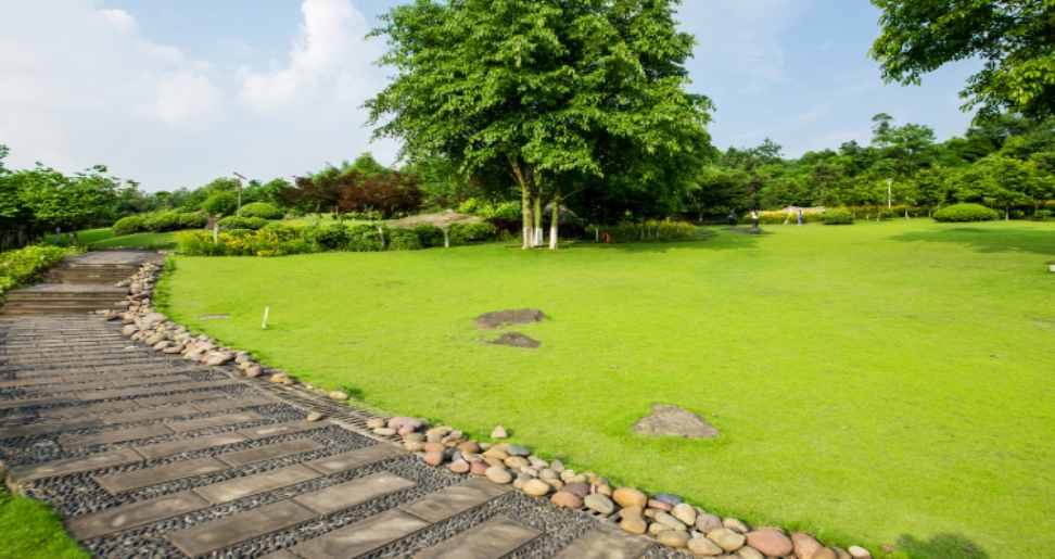 Enhance the Beauty of Your Lawn with Good Landscaping